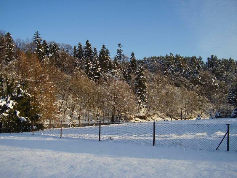 Pod Orzechem Villa Sanok Esterno foto